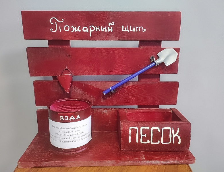 Итоги регионального этапа Всероссийского конкурса детско-юношеского творчества по пожарной безопасности "Неопалимая купина"