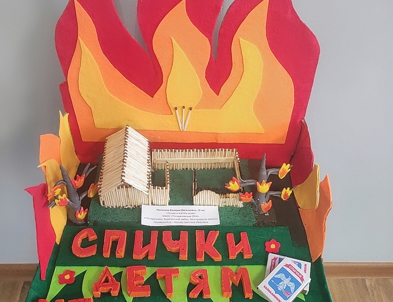 Итоги регионального этапа Всероссийского конкурса детско-юношеского творчества по пожарной безопасности "Неопалимая купина"